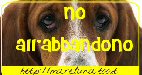 No Abbandono