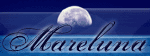 Banner la spiaggia