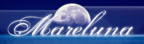 Banner La spiaggia