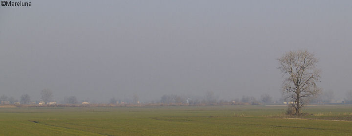 Nebbia