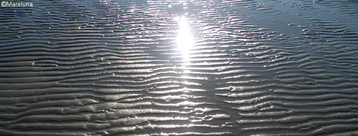 Bassa Marea...
