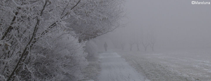 Alone...